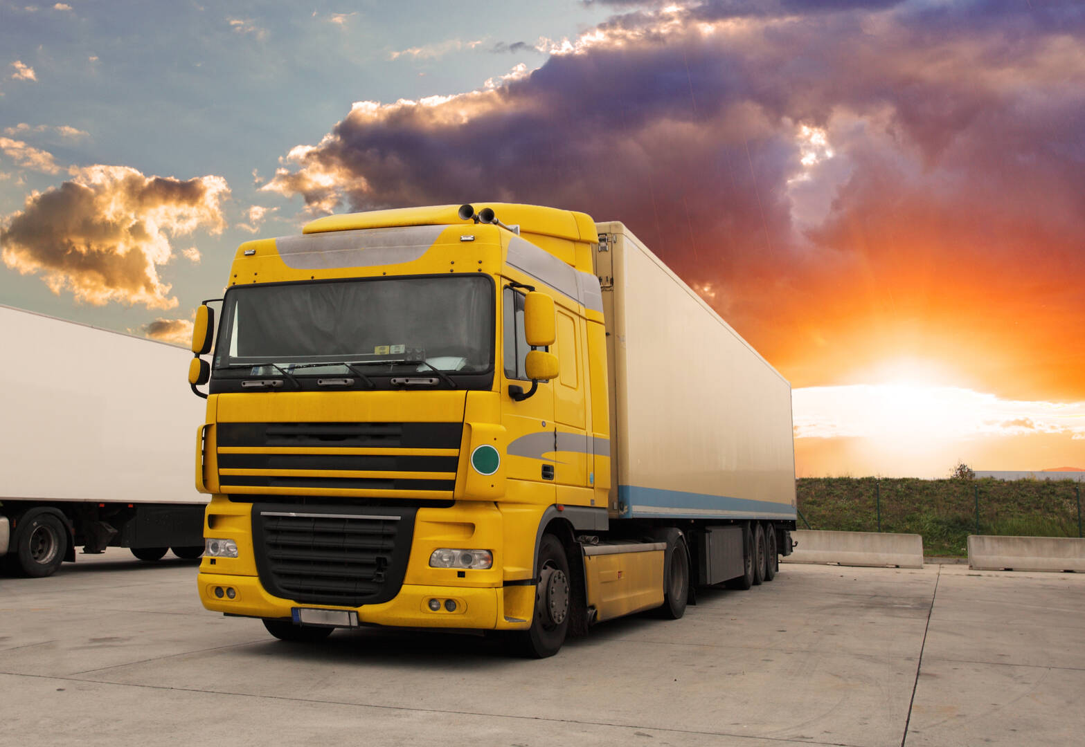 Hunt Removals