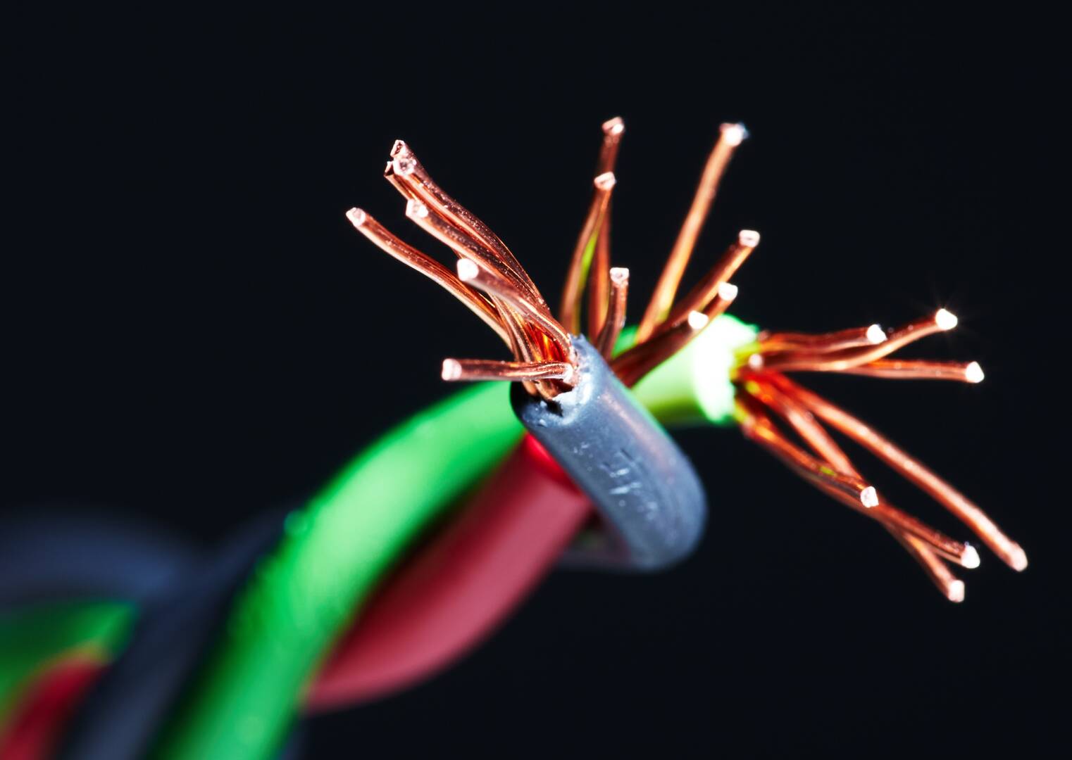 Energy Services Tauranga Ltd