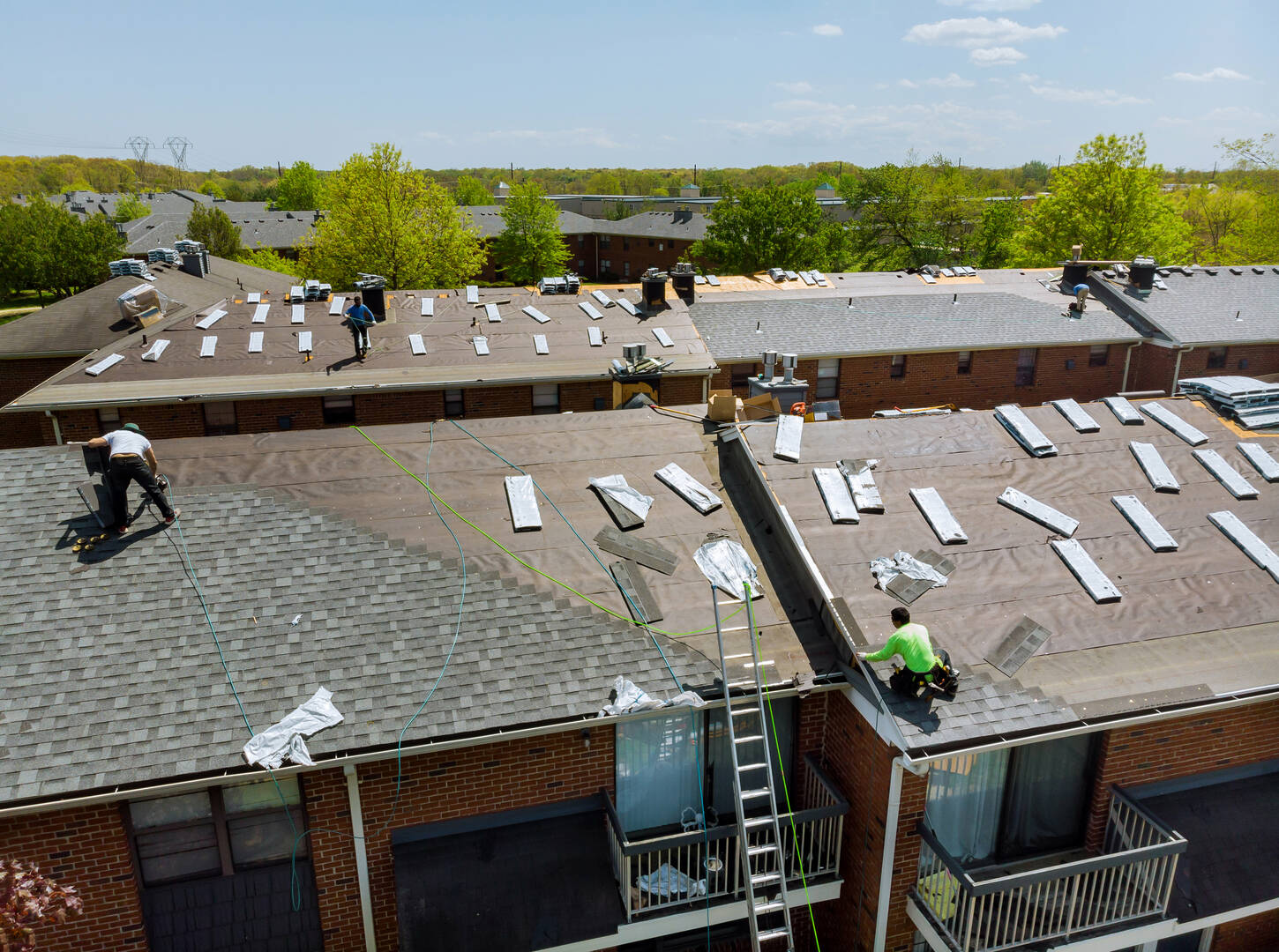 Blue Frog Roofing Limited